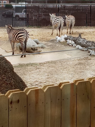 Hattiesburg Zoo