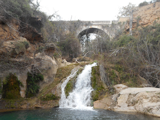 Charco Maravilla - Thumbnail