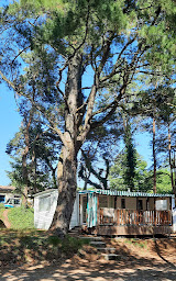 Photo n°27 de AteepeeK à Saint-Vincent-sur-Graon (Terrain pour camping-cars)