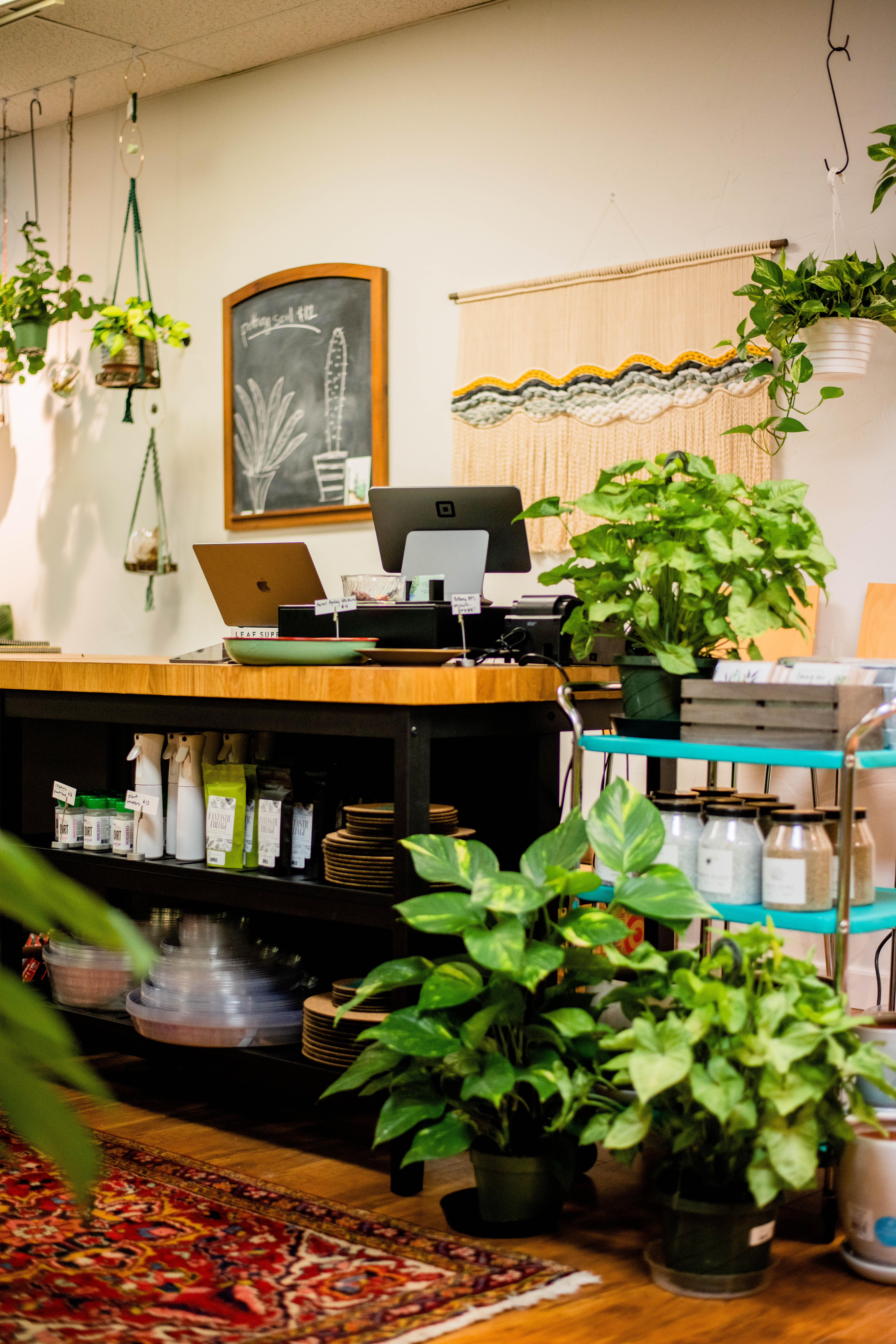 Botany Houseplant Shop