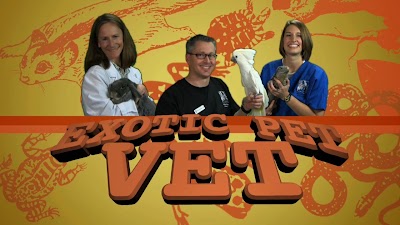 Photos of Avian and Exotic Animal Care