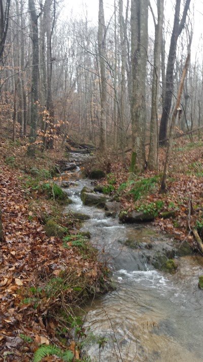 Photos of Buck Lair Cabin and Retreat