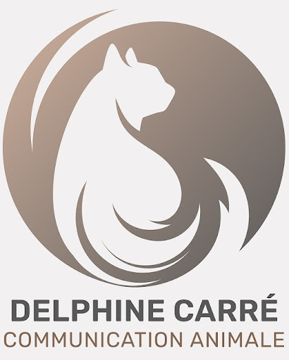 Carré Delphine - Thumbnail