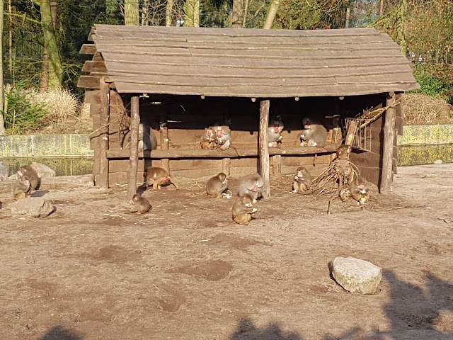 DierenPark Amersfoort