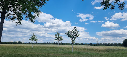 Feudenheimer Bürger Park - Thumbnail
