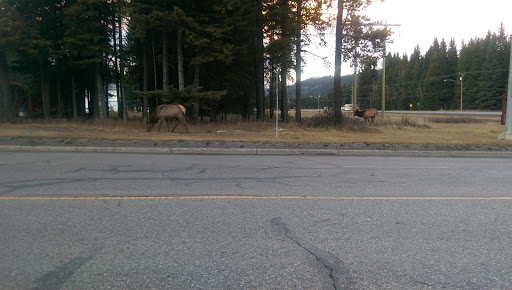 Elkford Wine Steward The - Thumbnail