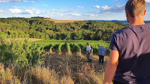 Photo n°2 de Vignerons de la Colline Eternelle à Saint-Père (Magasin de vins et spiritueux)