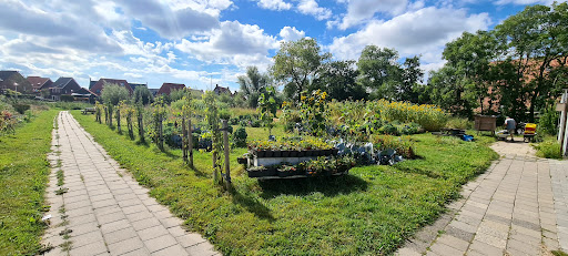 Stadstuin Techum - Visual