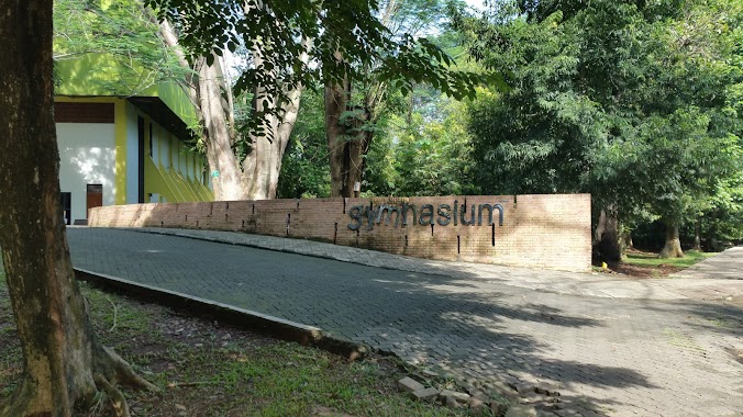 Gymnasium Universitas Indonesia, Author: Wibisono Yusup