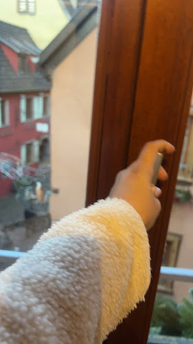 Hotel Restaurant Saint-Nicolas - Riquewihr - Alsace - Hôtel