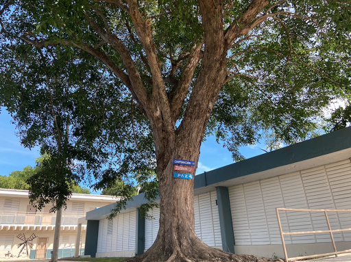 Campus Educativo del Colegio María Auxiliadora - Thumbnail