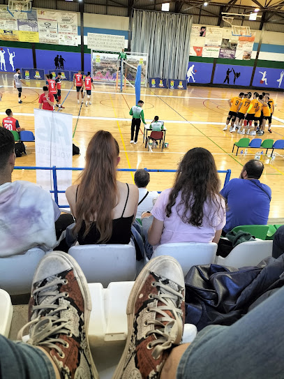 pabellon-deportivo-de-gojar