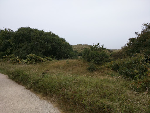 Callantsoog, Zwanenwater - Thumbnail