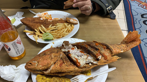 Fancy Fish - Visual