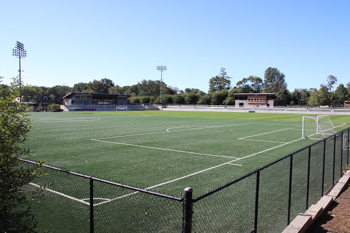 Roberts Stadium - Visual