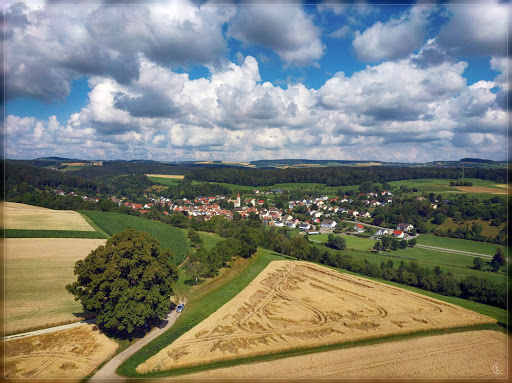 3 Linden / Naturdenkmal - Thumbnail