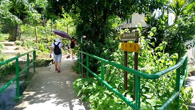 Photos of Nga Ying Kok Campsite