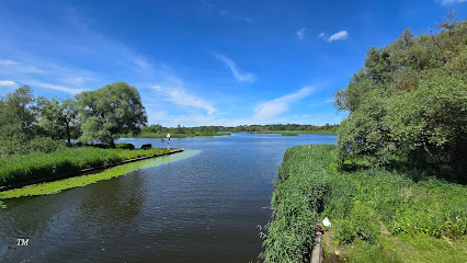 Dziewoklicz