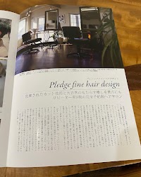 Ｐｌｅｄｇｅ・ｆｉｎｅ・ｈａｉｒ・ｄｅｓｉｇｎ