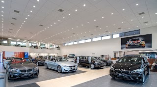 Cars NI