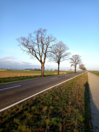 Erftstadt Kerpener Str.
