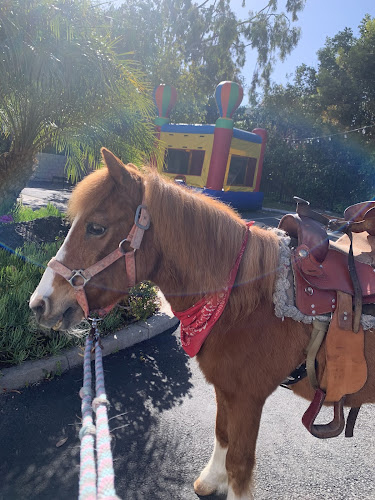 Kid's Party Entertainment!