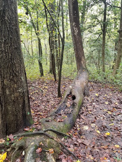 Browns Branch County Park