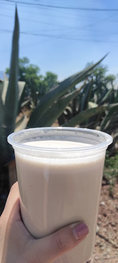 Pulquería En la Penca del Maguey - Thumbnail