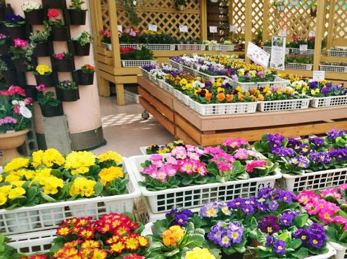 花工場 溝の口店 Flower Factory溝の口 溝の口駅より徒歩10分 花屋 フラワーショップ
