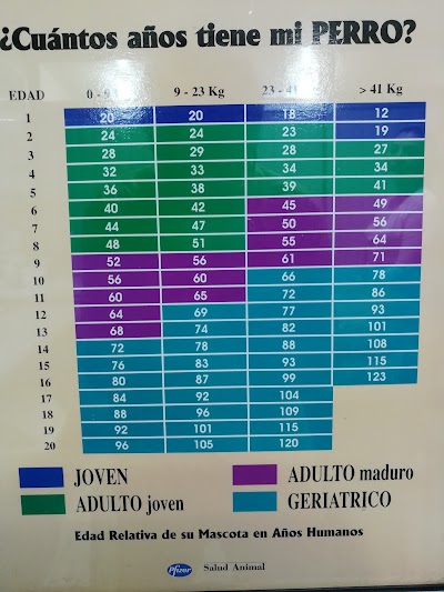 Photos of Central Hospital Veterinarian Queretaro,