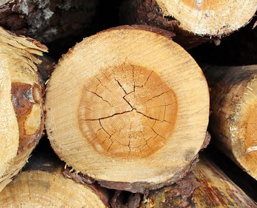 Gebr. Heidel GmbH Holz- u. Spänevertrieb Gewerbl. Güterkraftverkehr Gallery - Germany