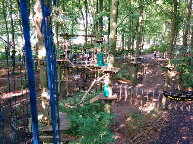 Fun Forest Amsterdam