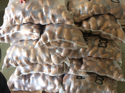 Agro Produce Maroc SARL