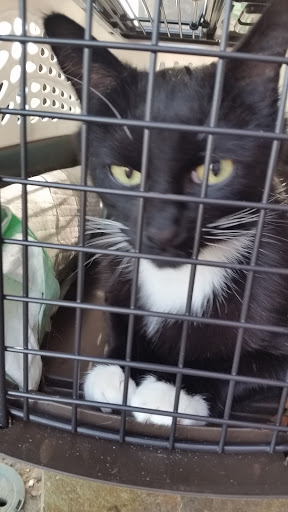 Tia's Tub 'n Toys Pet Store - Thumbnail