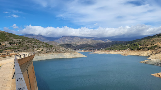 Dam Rules - Visual