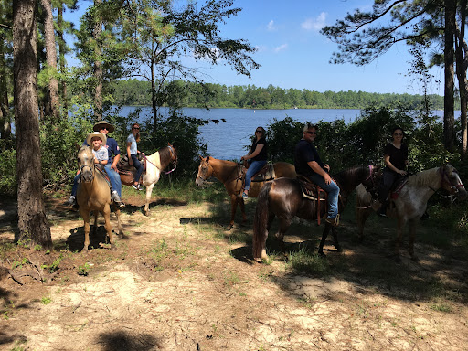 Horserideforfun.com - Thumbnail