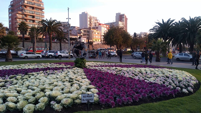 Opiniones de Reloj De Flores en Viña del Mar - Floristería