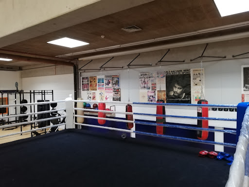 Personal Boxing Trainer - Cobra Boxing - Thumbnail