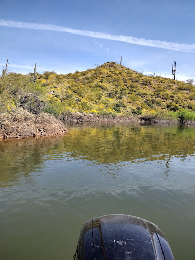 Roosevelt Lake Beach Gallery - United States
