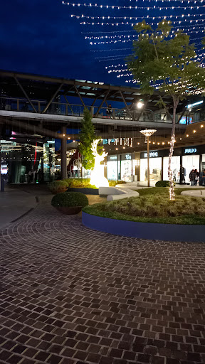Petco Town Square Metepec Gallery - Mexico