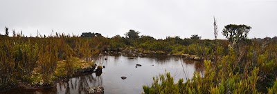 Photos of Cerro Las Vueltas Reserve