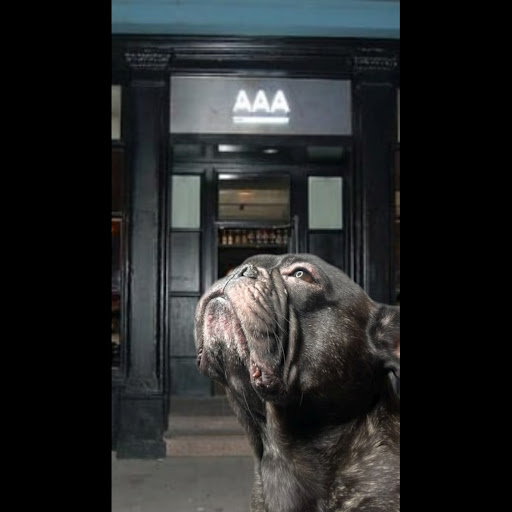 AAA Bar - Visual