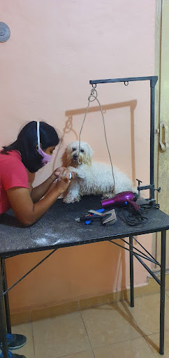 Consultorio Veterinario Yucancat