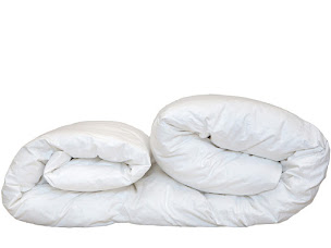 Photo n°19 de CASTEX couettes naturelles à Dax (Magasin d'usine)