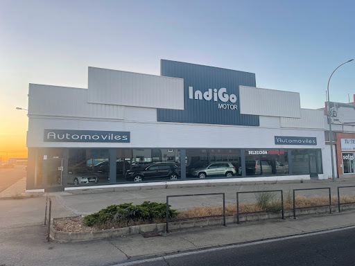 Indigo Motor - Visual