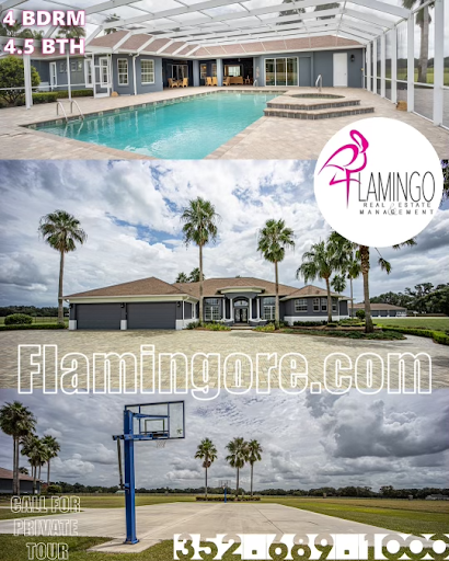 Roy Vaca, Realtor - Visual