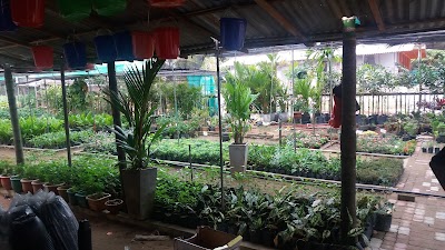Photos of Sulliyar Multi Farm