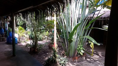 Photos of Lim Hour Bungalow