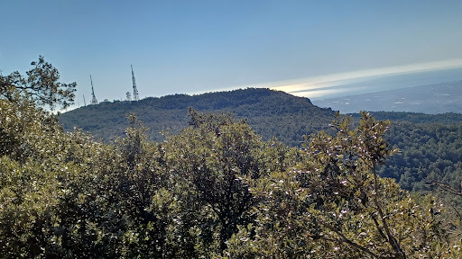 Colina del Tipasso - Thumbnail
