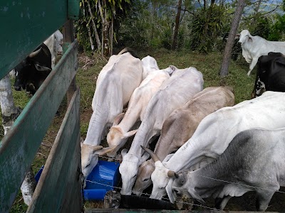 Photos of Finca Cantaros